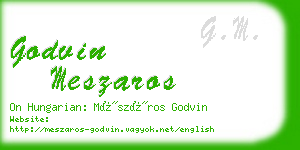 godvin meszaros business card